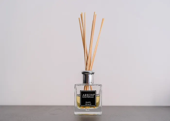 Grand Park Green Iulius Mall 아파트 클루지나포카