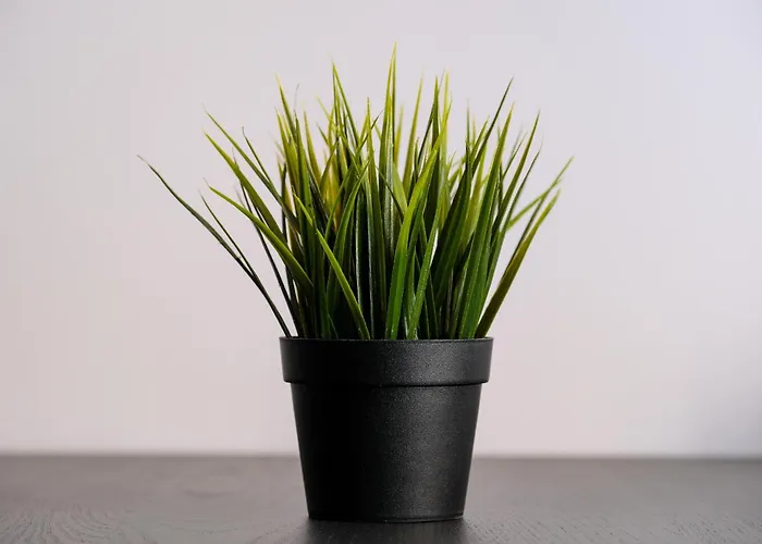 Grand Park Green Iulius Mall Διαμέρισμα